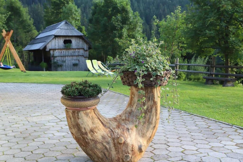 Tourist Farm Kladje Βίλα Ljubno Εξωτερικό φωτογραφία