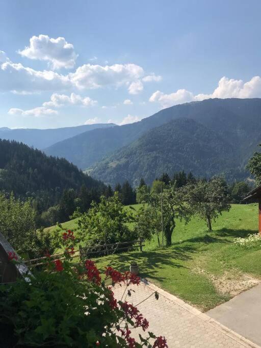 Tourist Farm Kladje Βίλα Ljubno Εξωτερικό φωτογραφία