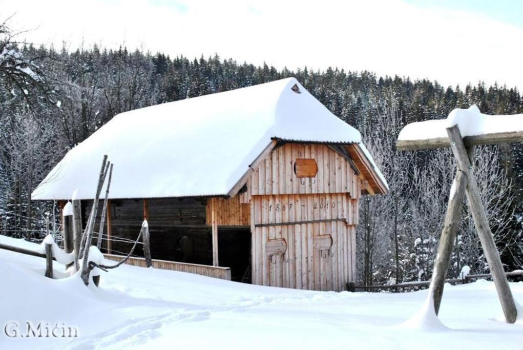 Tourist Farm Kladje Βίλα Ljubno Εξωτερικό φωτογραφία