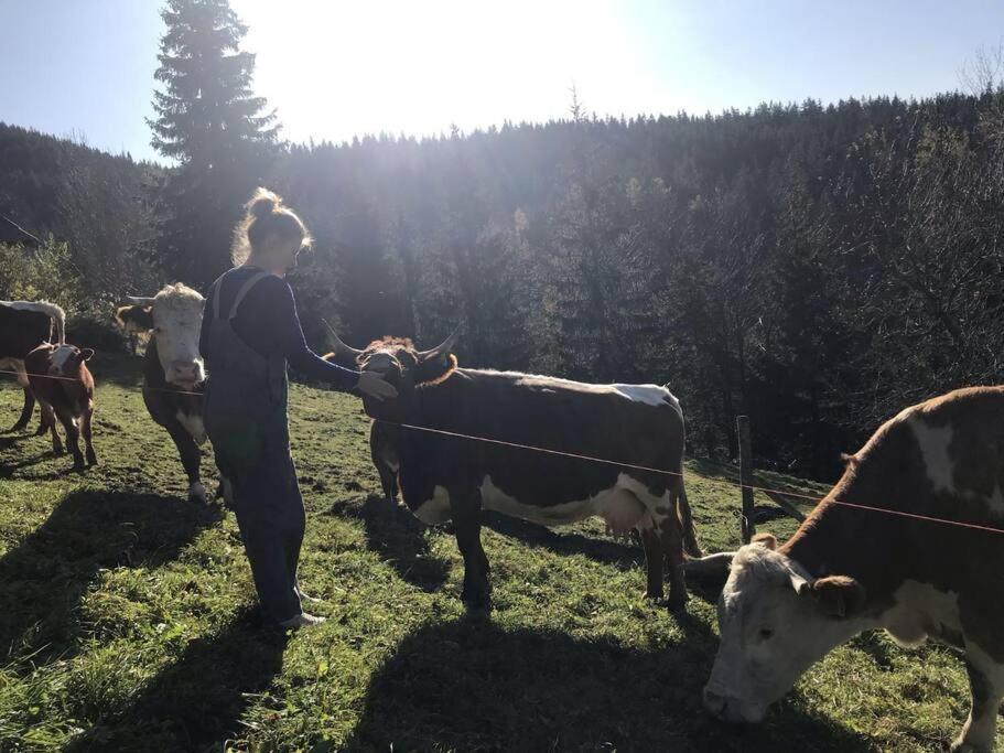 Tourist Farm Kladje Βίλα Ljubno Εξωτερικό φωτογραφία
