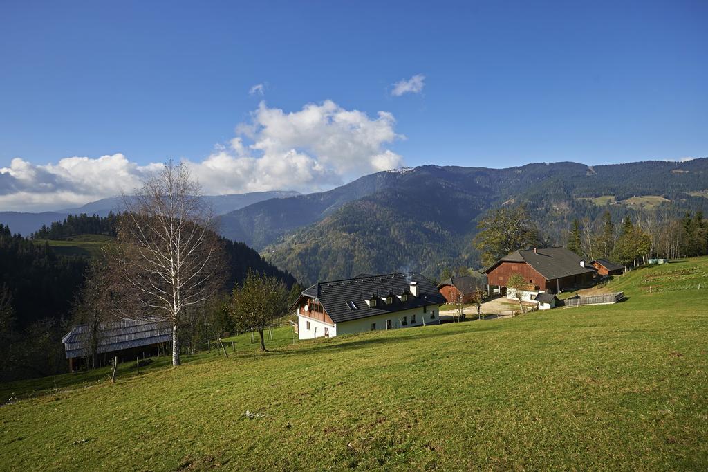 Tourist Farm Kladje Βίλα Ljubno Εξωτερικό φωτογραφία