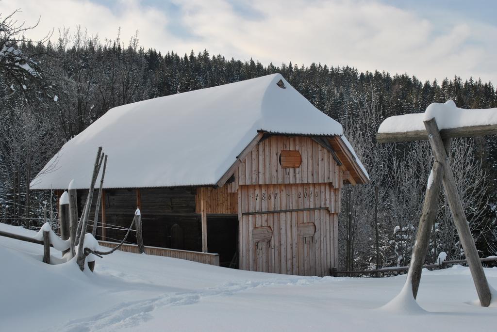Tourist Farm Kladje Βίλα Ljubno Εξωτερικό φωτογραφία