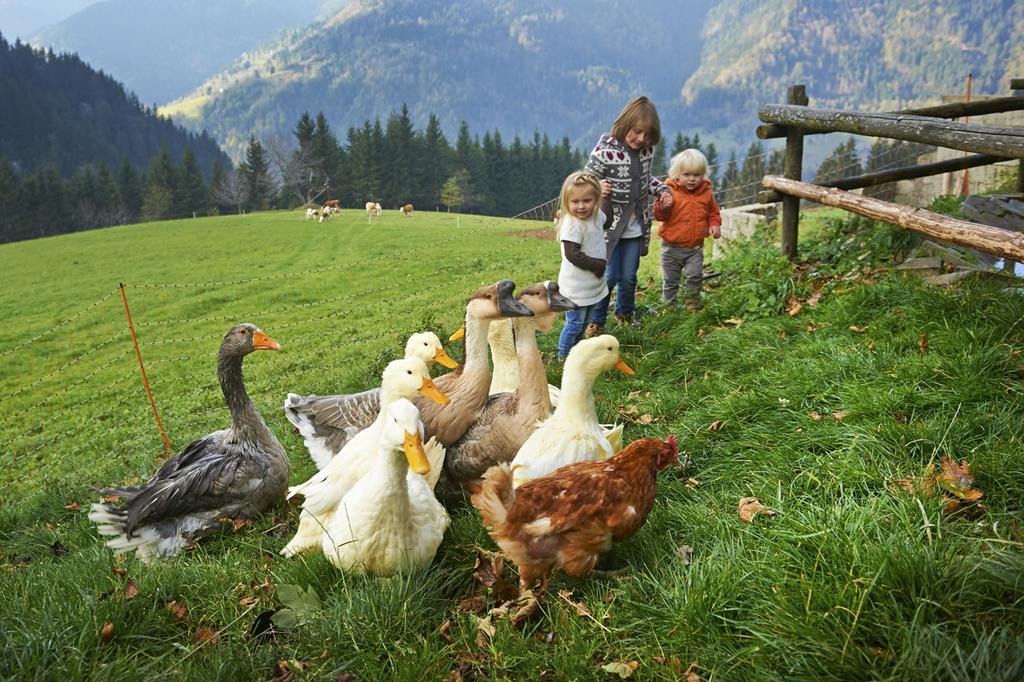 Tourist Farm Kladje Βίλα Ljubno Εξωτερικό φωτογραφία